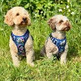 PupClub Couture Rugged Rover Harness - Summer Meadow