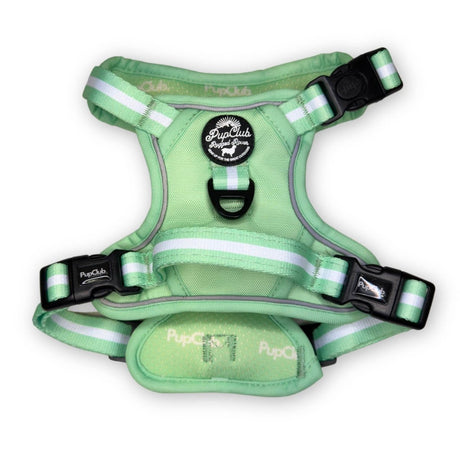 PupClub Couture Rugged Rover Dog Harness Pastel Mint Green