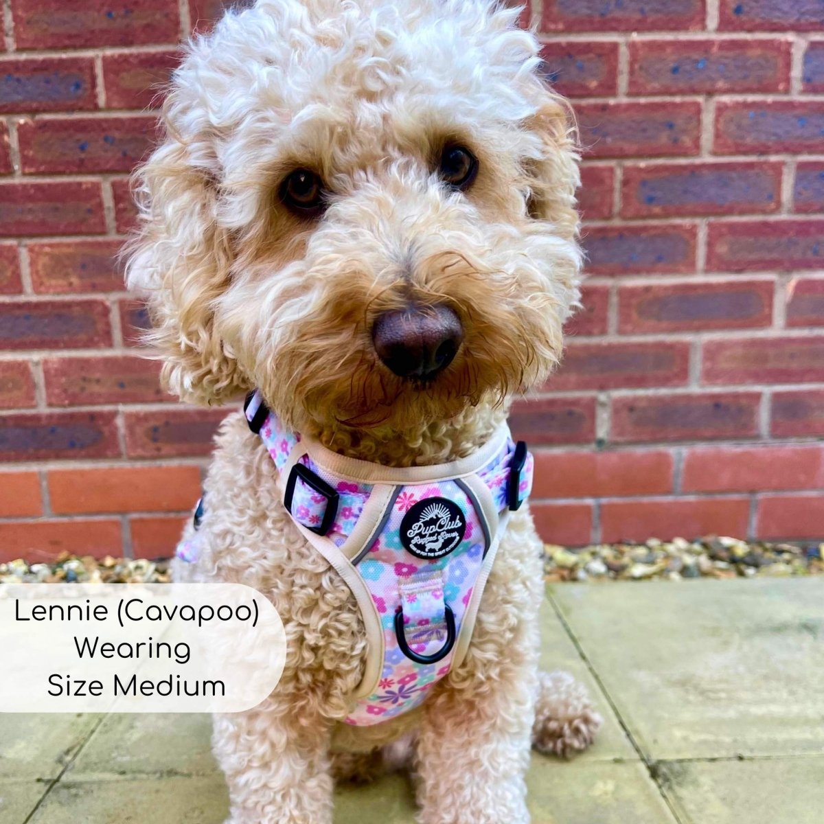 PupClub Couture Rugged Rover Pretty Petals Dog Harness