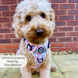 PupClub Couture Rugged Rover Pretty Petals Dog Harness