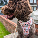 PupClub Couture Rugged Rover Dog Harness - Autumn Breeze