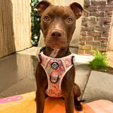 PupClub Couture Rugged Rover Dog Harness - Autumn Breeze
