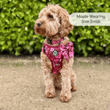 PupClub Couture Rugged Rover Harness - Burgundy Bloom