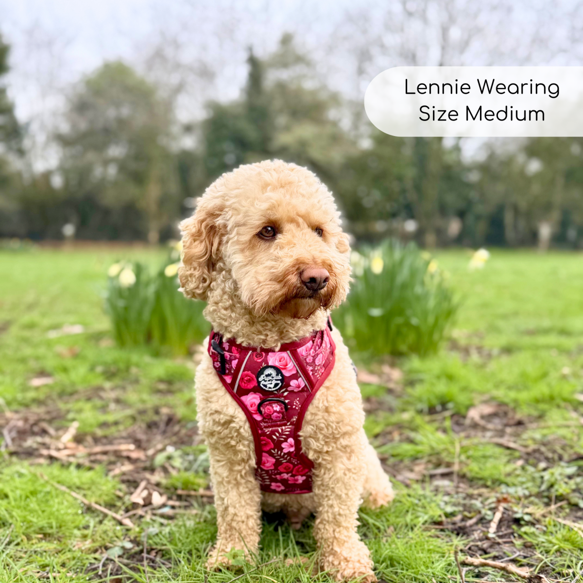 PupClub Couture Rugged Rover Harness - Burgundy Bloom