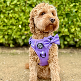 PupClub Couture Rugged Rover Harness - Lilac Blush