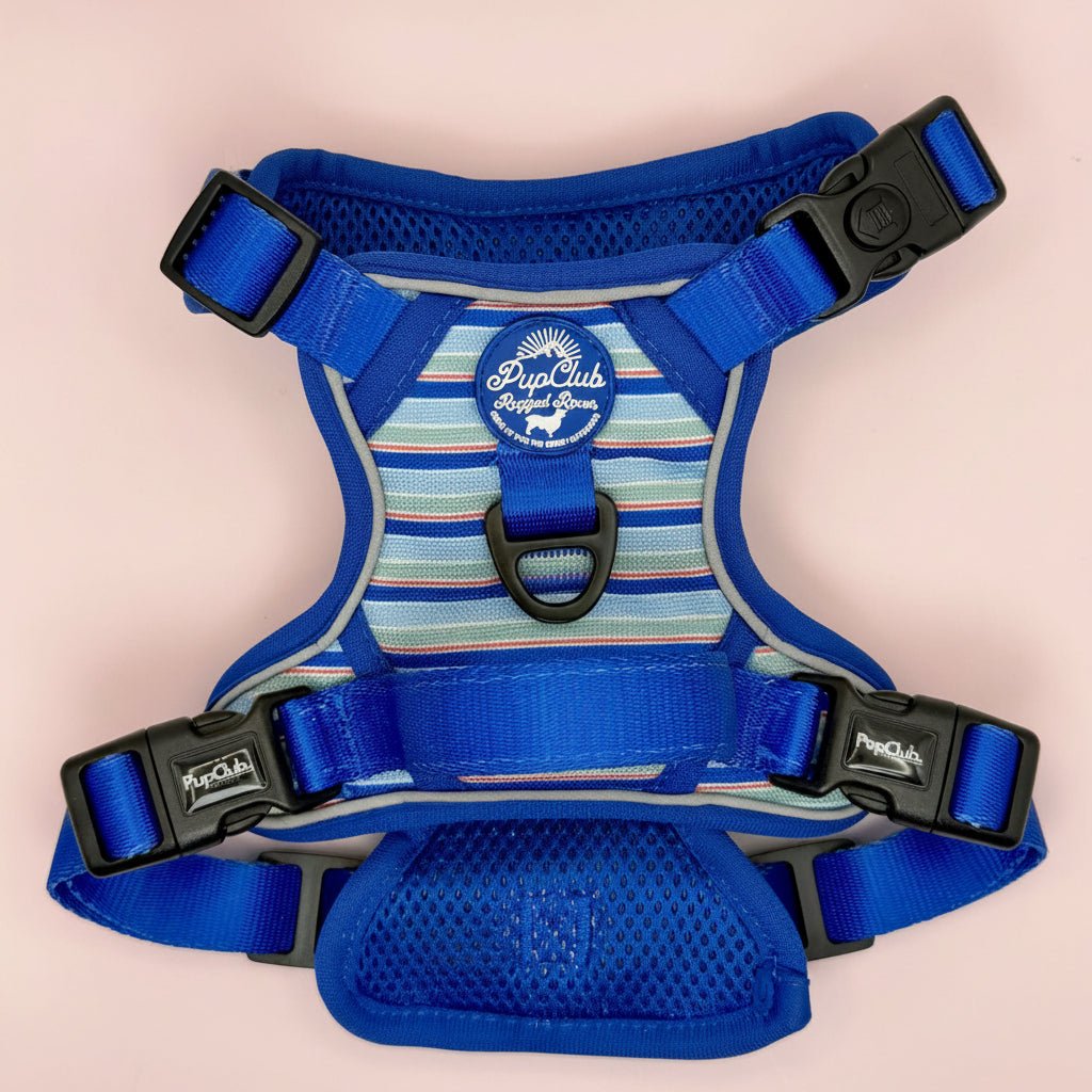 PupClub Couture Rugged Rover Dog Harness - Sea Breeze Stripes