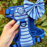 PupClub Couture Rugged Rover Dog Harness - Sea Breeze Stripes