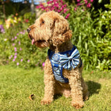 PupClub Couture Rugged Rover Dog Harness - Sea Breeze Stripes