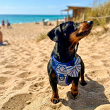 PupClub Couture Rugged Rover Dog Harness - Sea Breeze Stripes