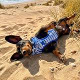 PupClub Couture Rugged Rover Dog Harness - Sea Breeze Stripes