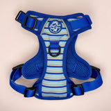 PupClub Couture Rugged Rover Dog Harness - Sea Breeze Stripes