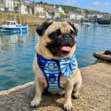 PupClub Couture Rugged Rover Dog Harness - Sea Breeze Stripes
