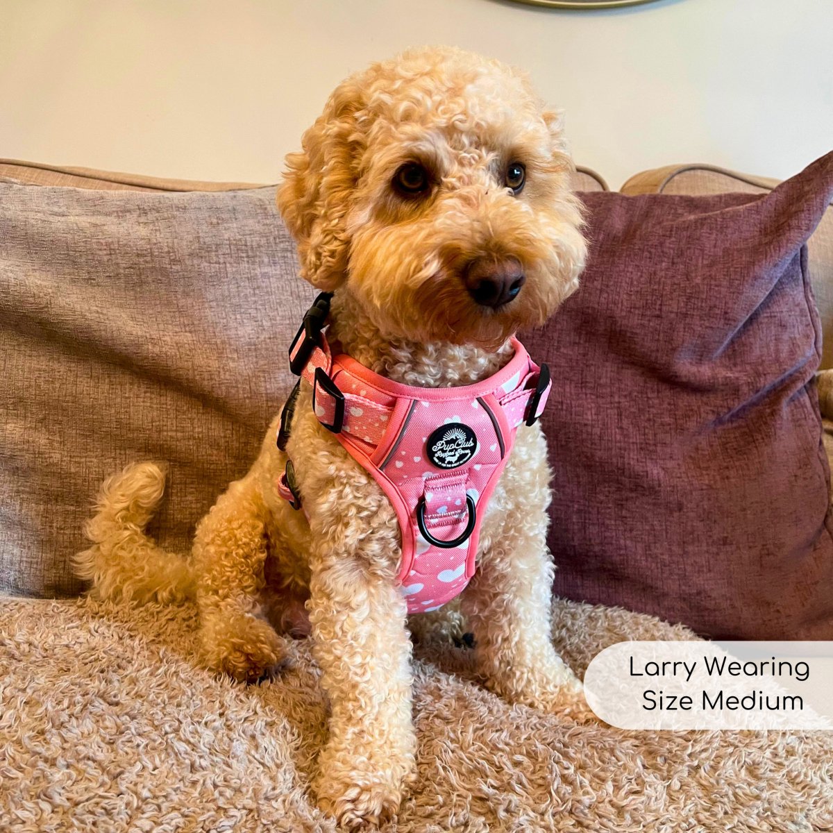 PupClub Couture Rugged Rover Harness - Peachy Hearts
