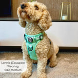 PupClub Couture Rugged Rover Dog Harness Pastel Mint Green