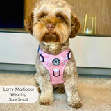 PupClub Couture Rugged Rover Dog Harness - Pastel Pink
