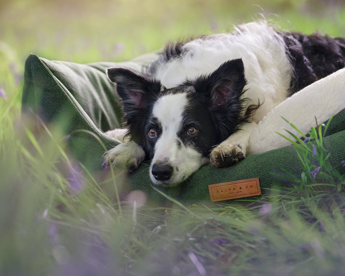 Ralph & Co The Richmond Bolster Dog Bed - Green