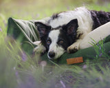 Ralph & Co The Richmond Bolster Dog Bed - Green