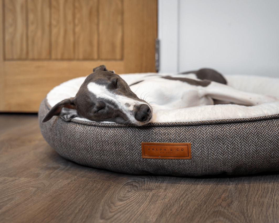 Ralph & Co The Lincoln Herringbone Tweed Calming Donut Dog Bed