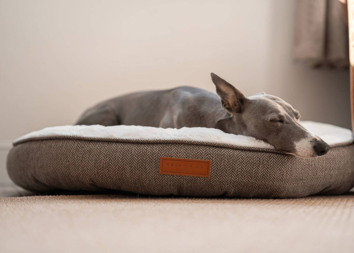 Ralph & Co The Lincoln Herringbone Tweed Calming Donut Dog Bed