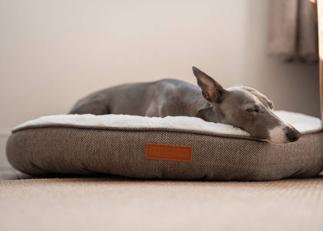Ralph & Co The Lincoln Herringbone Tweed Calming Donut Dog Bed