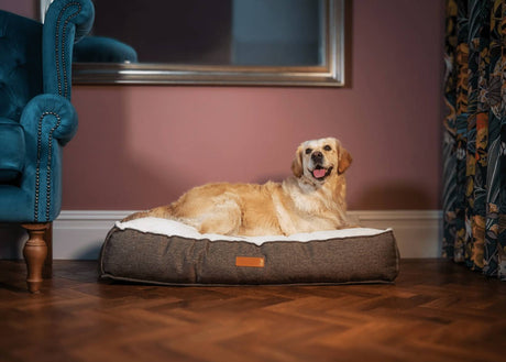 Ralph & Co The Lincoln Tweed Flat Pillow Dog Bed - Brown Herringbone