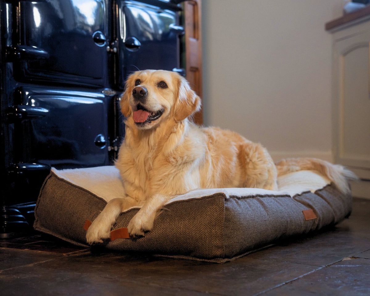 Ralph & Co The Lincoln Tweed Flat Pillow Dog Bed - Brown Herringbone