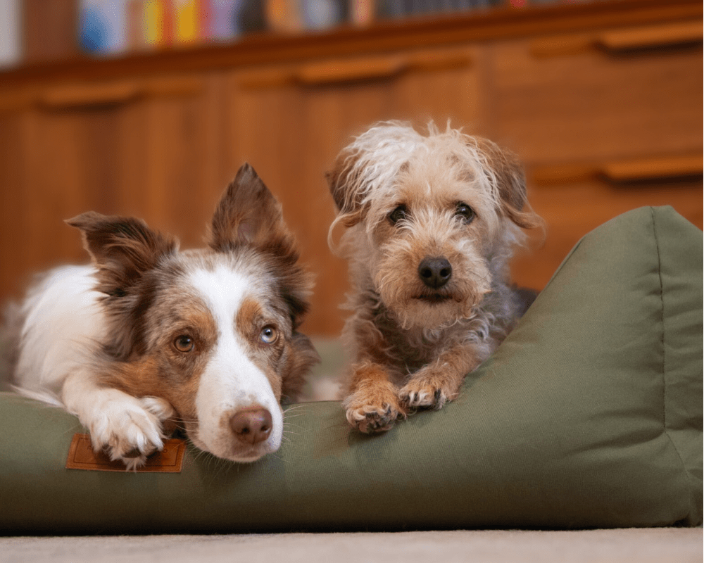 Ralph & Co The Henley Orthopaedic Waterproof Bolster Dog Bed Olive Green
