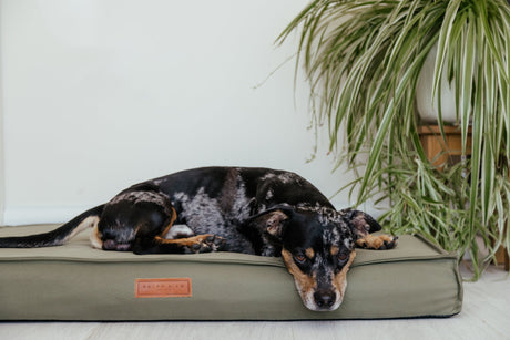 Ralph & Co Henley Waterproof Memory Foam Pillow Dog Bed Green