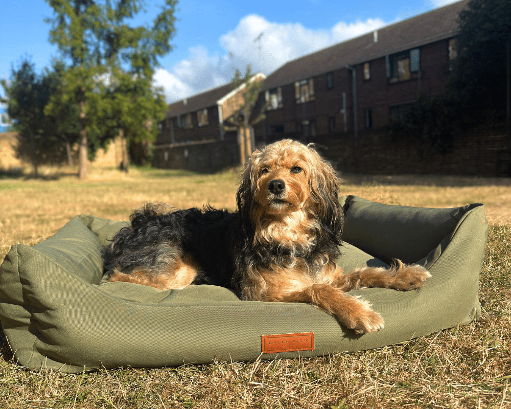 Ralph & Co The Henley Orthopaedic Waterproof Bolster Dog Bed Olive Green