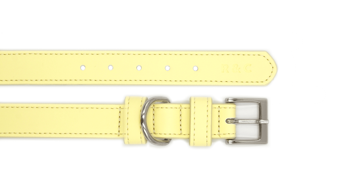Ralph & Co Lignify Dog Collar Yellow
