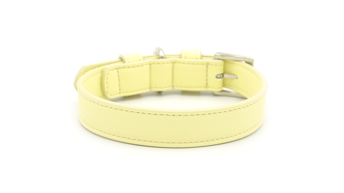 Ralph & Co Lignify Dog Collar Yellow